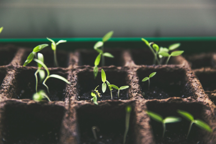 Embracing Technology: The Foundation of Our Growth